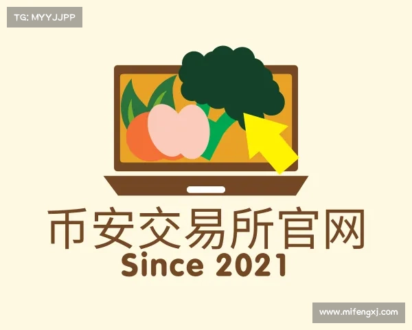 解读币安交易所官网